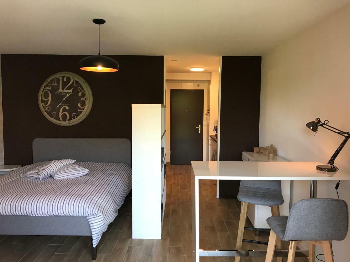 Large Studio Near Epfl And Lausanne City Center Ecublens  외부 사진