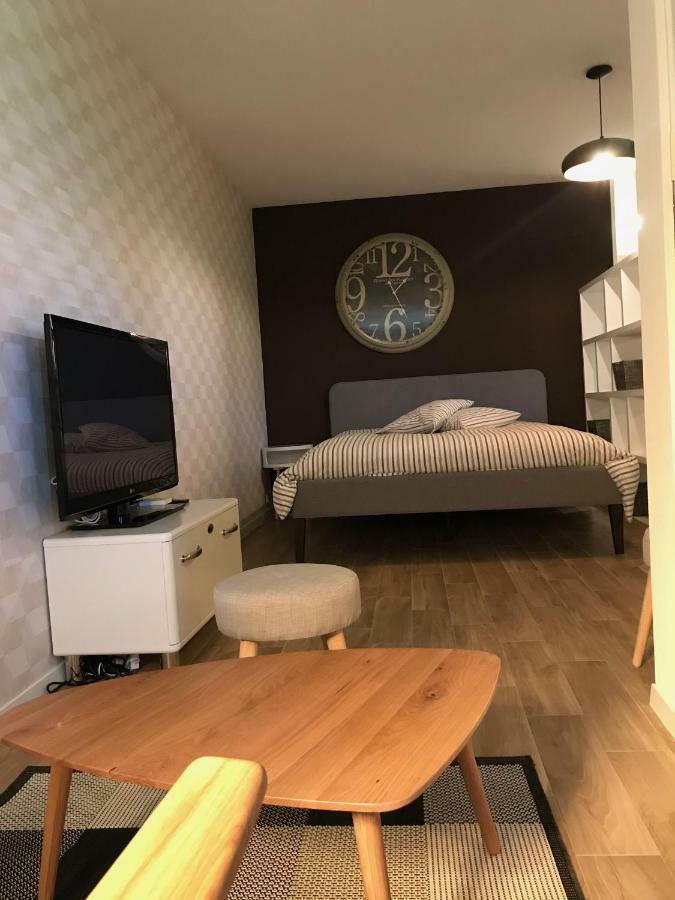 Large Studio Near Epfl And Lausanne City Center Ecublens  외부 사진